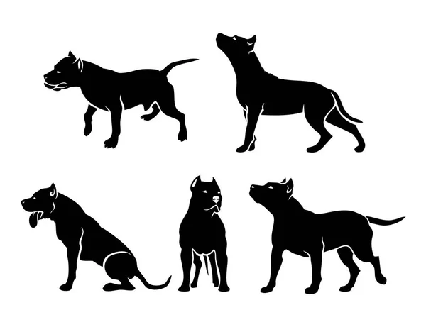 Conjunto Silhuetas Cães American Staffordshire Terrier Ilustração Vetorial Isolada —  Vetores de Stock