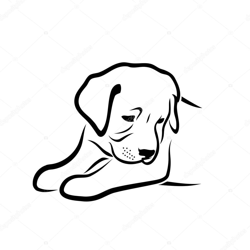 Labrador retriever puppy dog - vector illustration