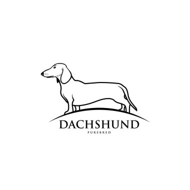 ayakta izole dachshund tek renkli çizimi