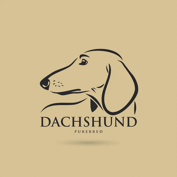 Ilustração Cabeça Dachshund Fundo Bege — Vetor de Stock