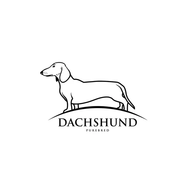 Dachshund Pie Ilustración Monocromática Aislada — Vector de stock
