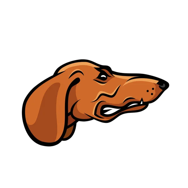 Dachshund Head Isolated Colored Illustration — Stock Vector