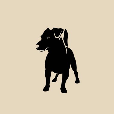 jack Russell terrier özetlenen illüstrasyon bej renkli arka plan üzerinde