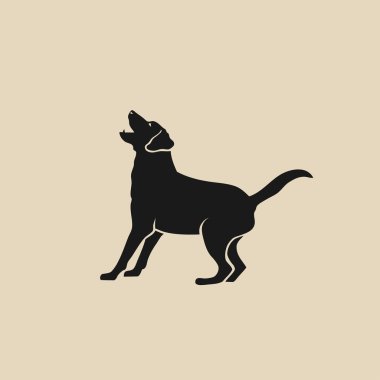Labrador retriever kabuk illüstrasyon bej renkli arka plan üzerinde belirtilen