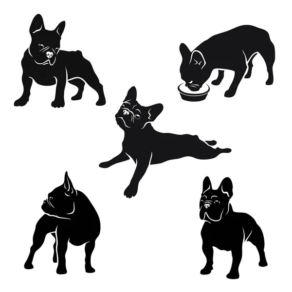 Frenchie Puppies Monochrome Icon Set — Stock Vector