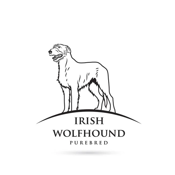 Irish Wolfhound Monochrome Outlined Illustration — Stock Vector