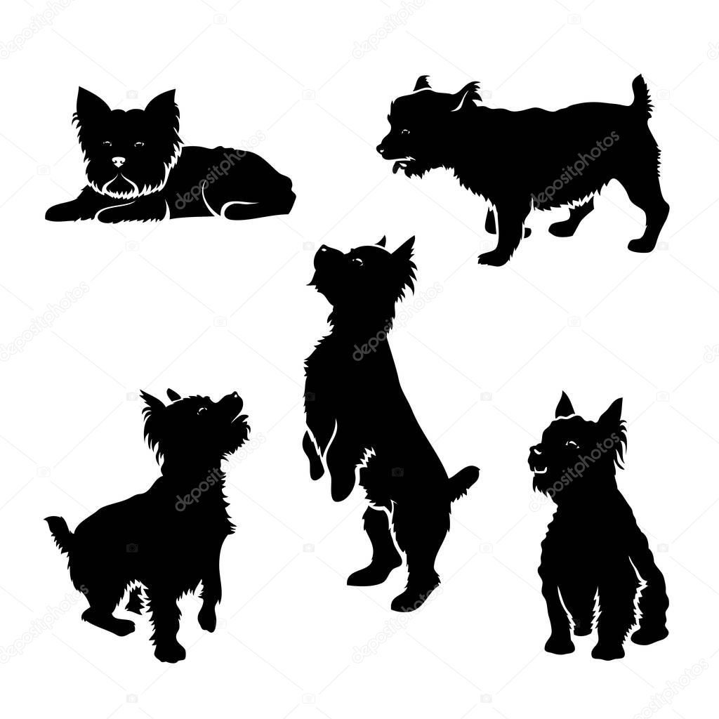 Yorkshire terriers monochrome icon set 