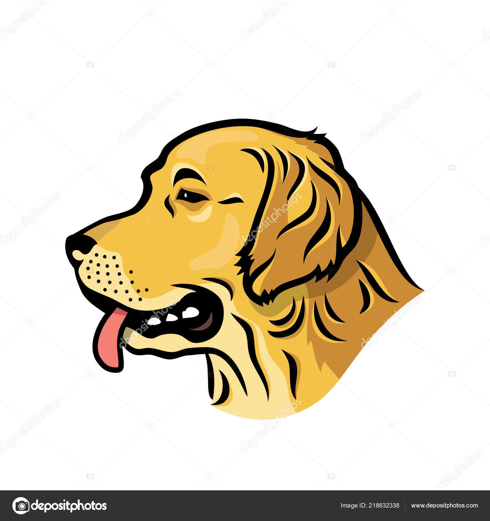 golden retriever muzzle