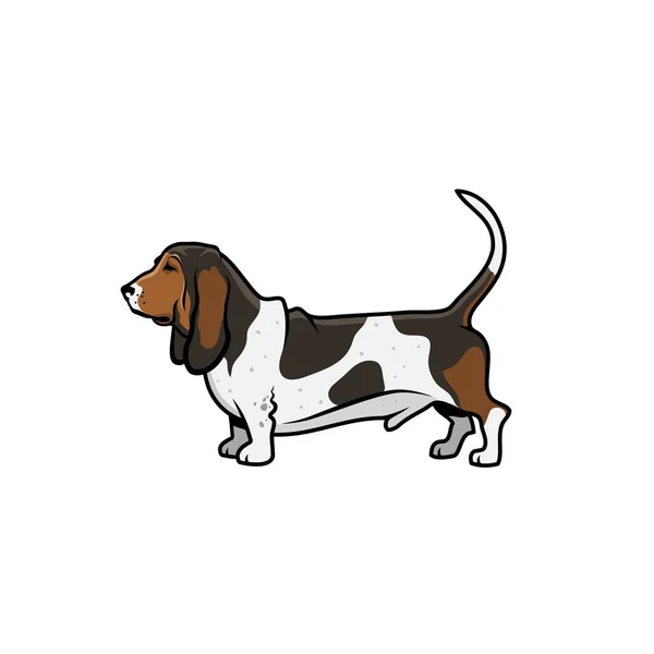 Basset Cane Cane Cane Vettore Illustrazione Sfondo Bianco — Vettoriale Stock