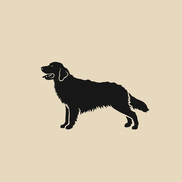 Golden Retriever Illustration Beige Bakgrund — Stock vektor