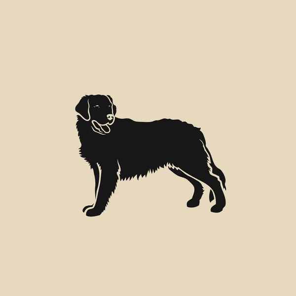 Illustration Golden Retriever Sur Fond Beige — Image vectorielle