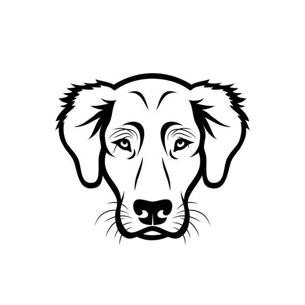 Bozal Golden Retriever Ilustración Vectorial — Archivo Imágenes Vectoriales