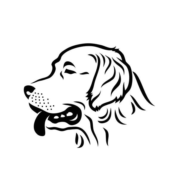 Muselière Golden Retriever Illustration Vectorielle — Image vectorielle