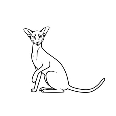 Sphynx kedi kutsal kişilerin resmi, vektör çizim
