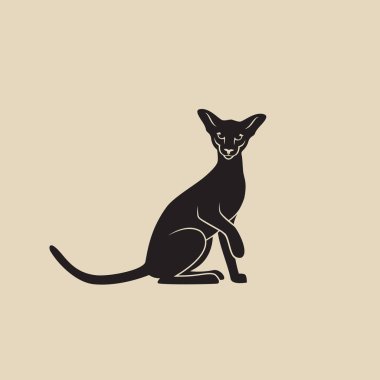 Sphynx kedi kutsal kişilerin resmi, vektör çizim
