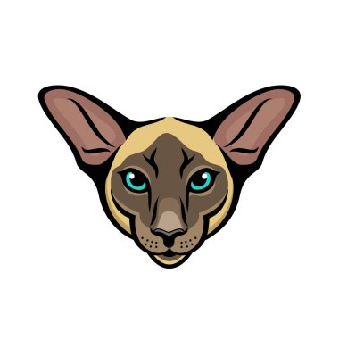 Sphynx kedi kutsal kişilerin resmi, vektör çizim