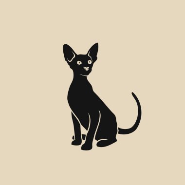 Sphynx kedi kutsal kişilerin resmi, vektör çizim