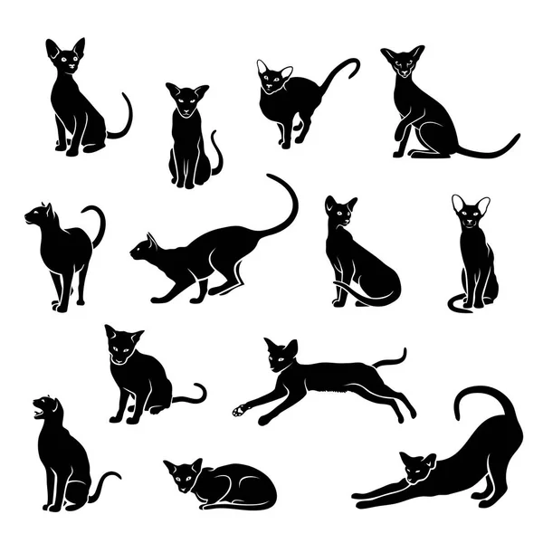 Schwarze Sphynx Katzen Symbole Vektor Illustrationen Gesetzt — Stockvektor