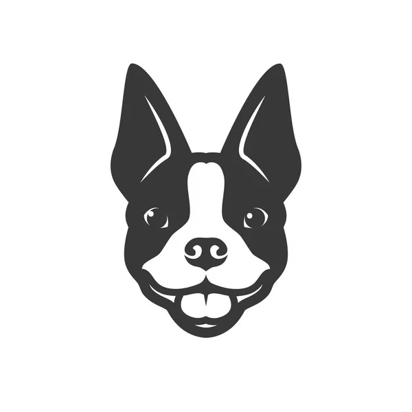 Ilustração Vetorial Minimalista Boston Terrier — Vetor de Stock