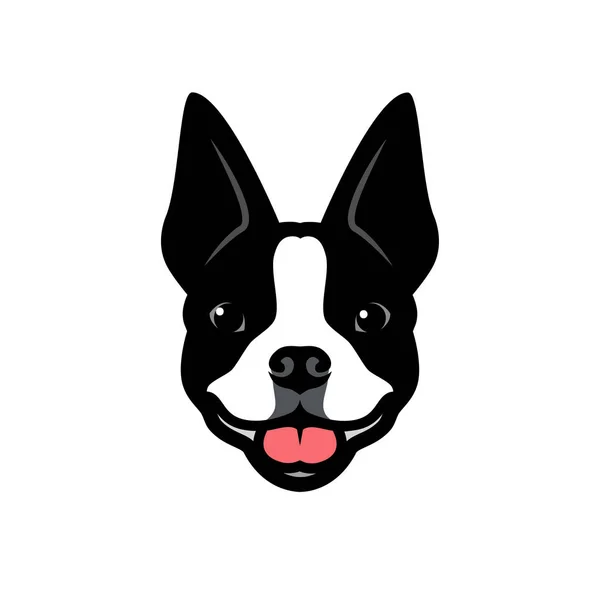 Ilustrasi Vektor Minimalis Dari Boston Terrier - Stok Vektor