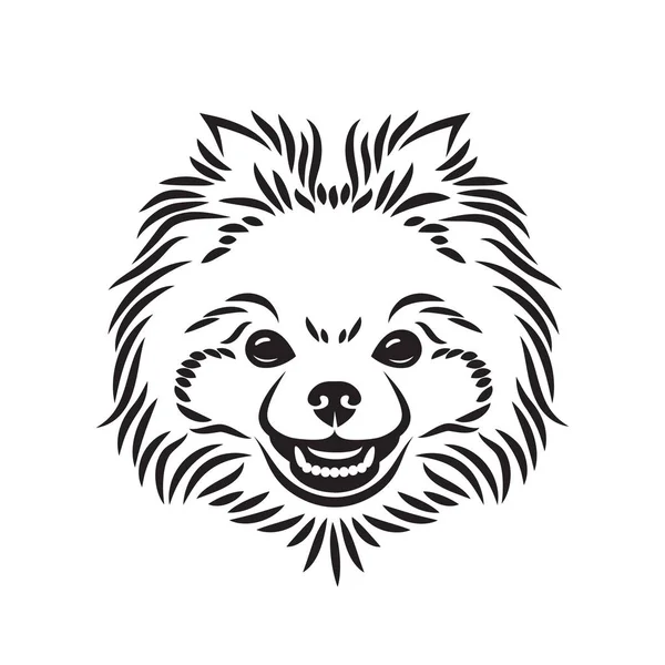 Pomeranian Dog Face Isolated White Background Vector Illustration — Stock Vector