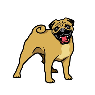 Beyaz, vektör illüstrasyon izole pug köpek