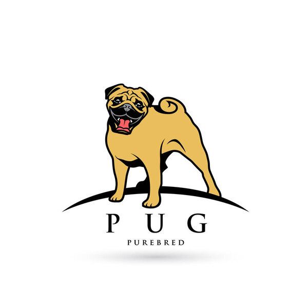 purebred Pug dog isolated on white, vector illustration