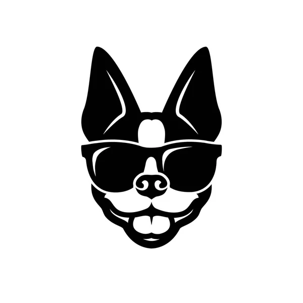 Illustration Adorable Boston Terrier Dog — Stock Vector