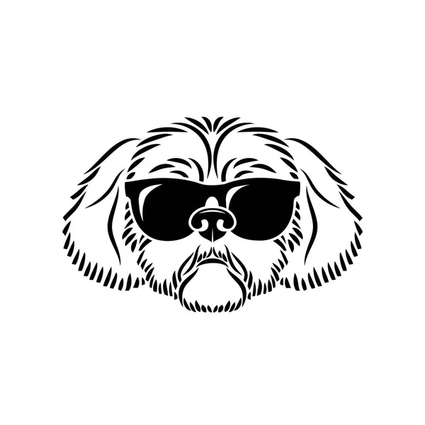 Illustration Adorable Chien Shih Tzu — Image vectorielle