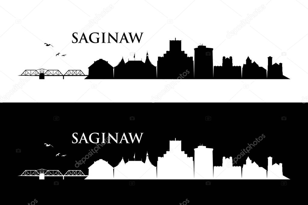 Saginaw, United States of America, USA