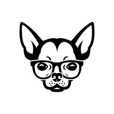 Güneş gözlüğü takan Chihuahua köpeği - izole vektör çizimi