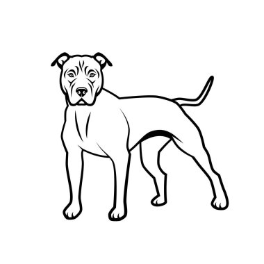 Amerikalı çukur boğa korkunç köpek - izole vektör çizim 