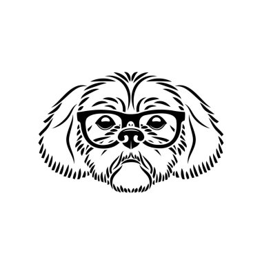 Shih Tzu köpek giyim gözlük-izole vektör illüstrasyon