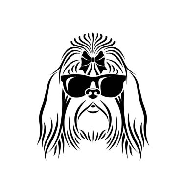 Shih Tzu Dog-izole vektör illüstrasyon 