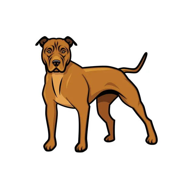 American Pit Bull Terrier Dog Isolated Vector Illustration — Stock Vector