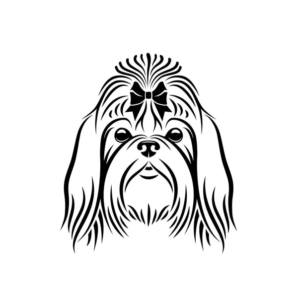 Chien Shih Tzu Illustration Vectorielle Isolée — Image vectorielle