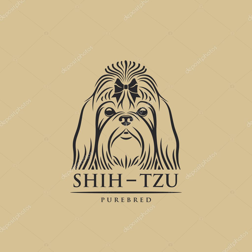 Shih Tzu Dog face - isolated vector illustration
