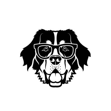 Bernese dağ köpeği gözlük-izole vektör illüstrasyon giyiyor
