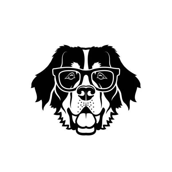 Bernese Perro Montaña Con Gafas Ilustración Vectorial Aislado — Vector de stock