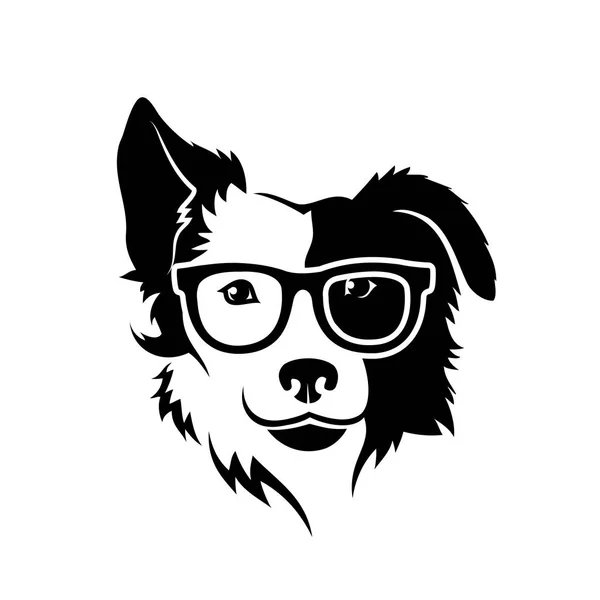 Border Collie Hund Mit Brille Isolierte Vektorillustration — Stockvektor