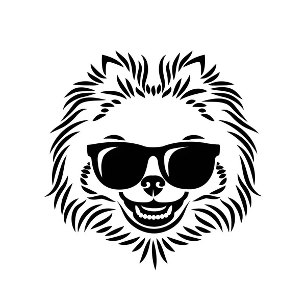 Pommerscher Hund Mit Sonnenbrille Isolierte Vektorillustration — Stockvektor