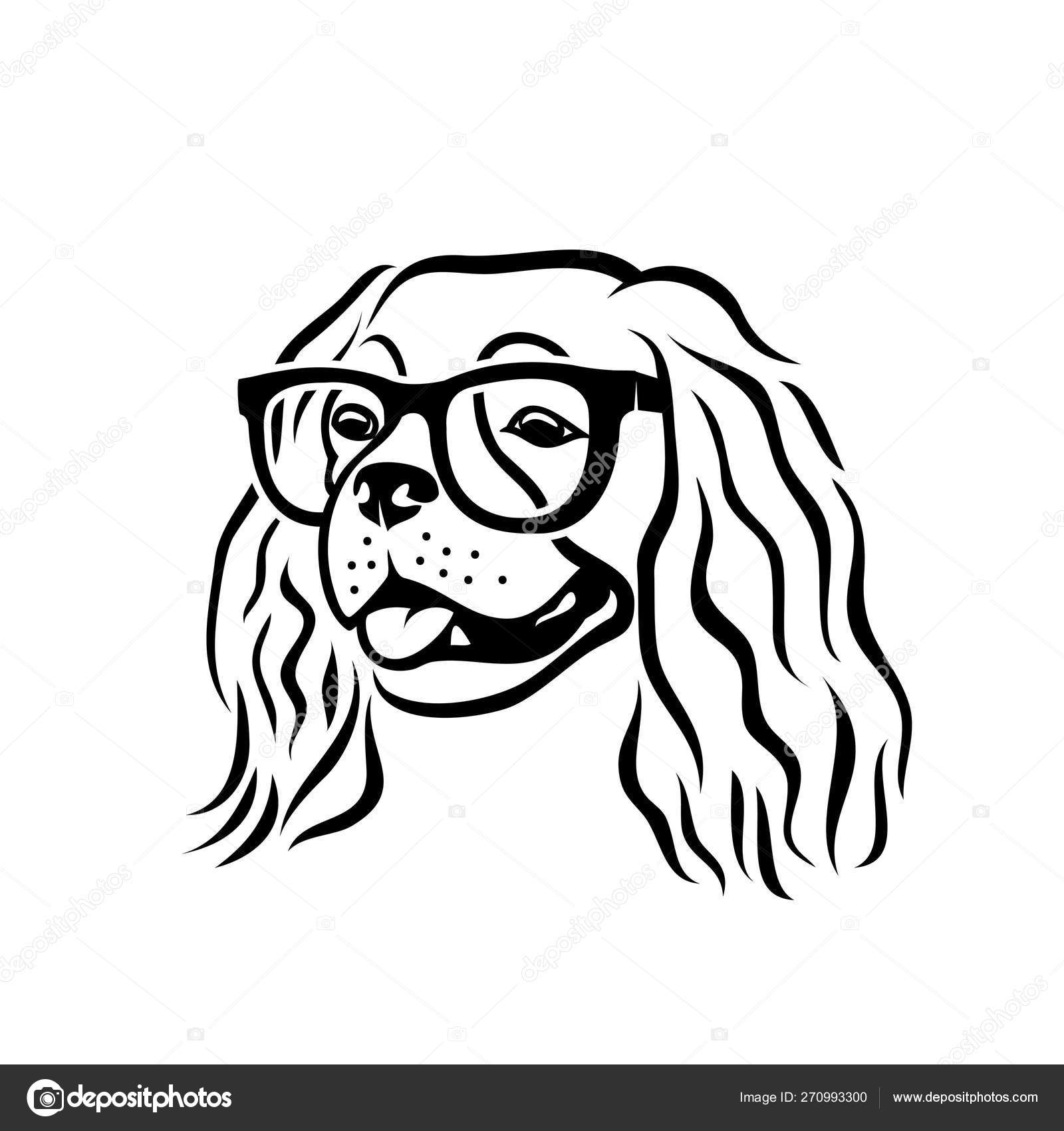 Cavalier King Charles Spaniel Dog Wearing Sunglasses Isolated Vector Illustration Vector by ©I.Petrovic 270993300