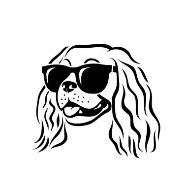 Cavalier King Charles Spaniel köpek güneş gözlüğü giyen - izole vektör illüstrasyon 