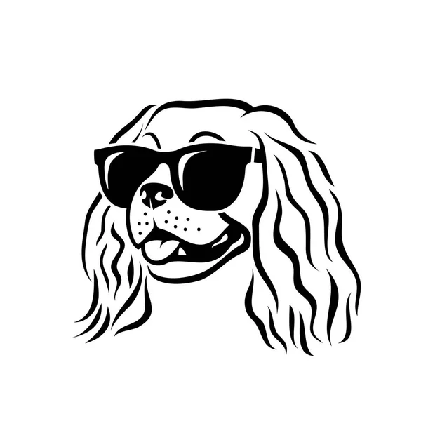 Cavalier King Charles Spaniel Dog Wearing Sunglasses Isolated Vector Illustration — Stock Vector