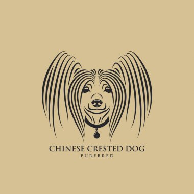 Çin tepeli köpek, izole vektör illüstrasyon
