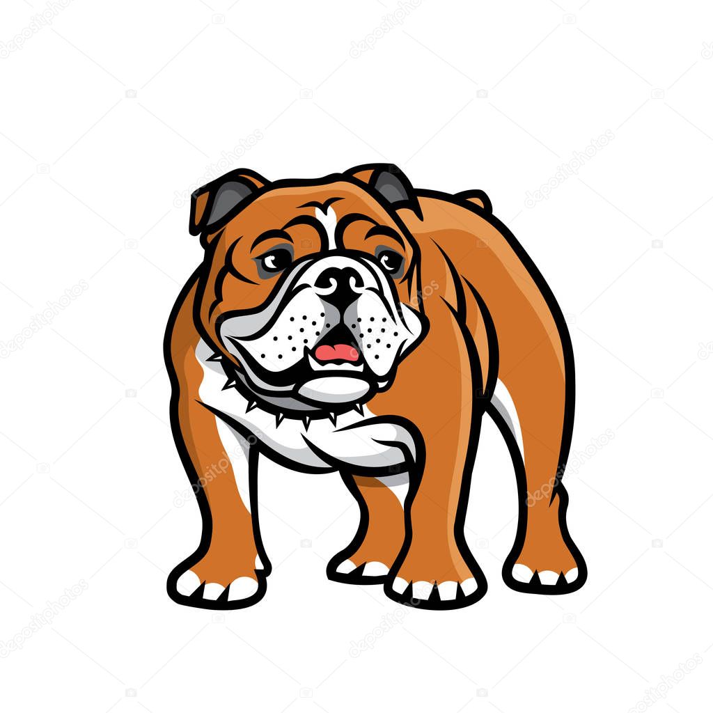 English bulldog, isolated vector illustration