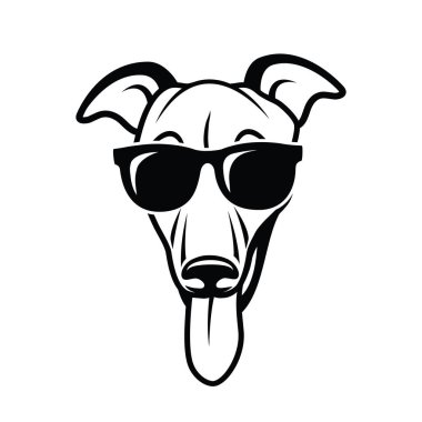 Güneş gözlüğü takan Sevimli Greyhound köpek, izole vektör illüstrasyon