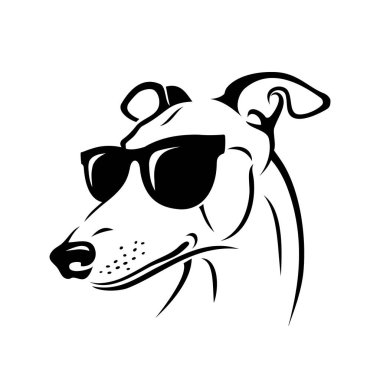 Güneş gözlüğü takan Sevimli Greyhound köpek, izole vektör illüstrasyon