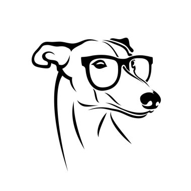 Güneş gözlüğü takan Sevimli Greyhound köpek, izole vektör illüstrasyon
