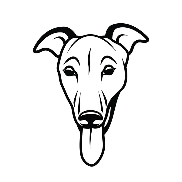 Schattig Greyhound Hond Geïsoleerde Vector Illustratie — Stockvector